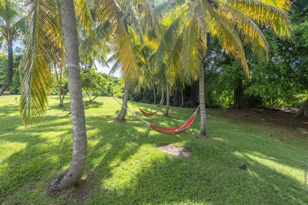 Suite Tropicale Village Vacances Sainte-Luce Exterior foto
